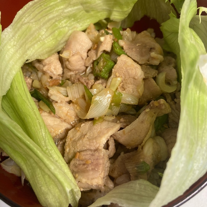 夏バテ対策ネギ味噌豚丼⭐️朝ごはんに